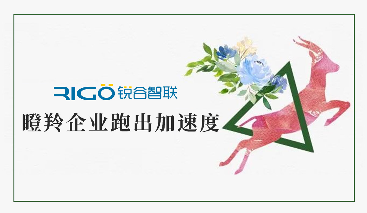 火炬高新区助力“瞪羚”企业跑出加速度，超半数分布厦门软件园